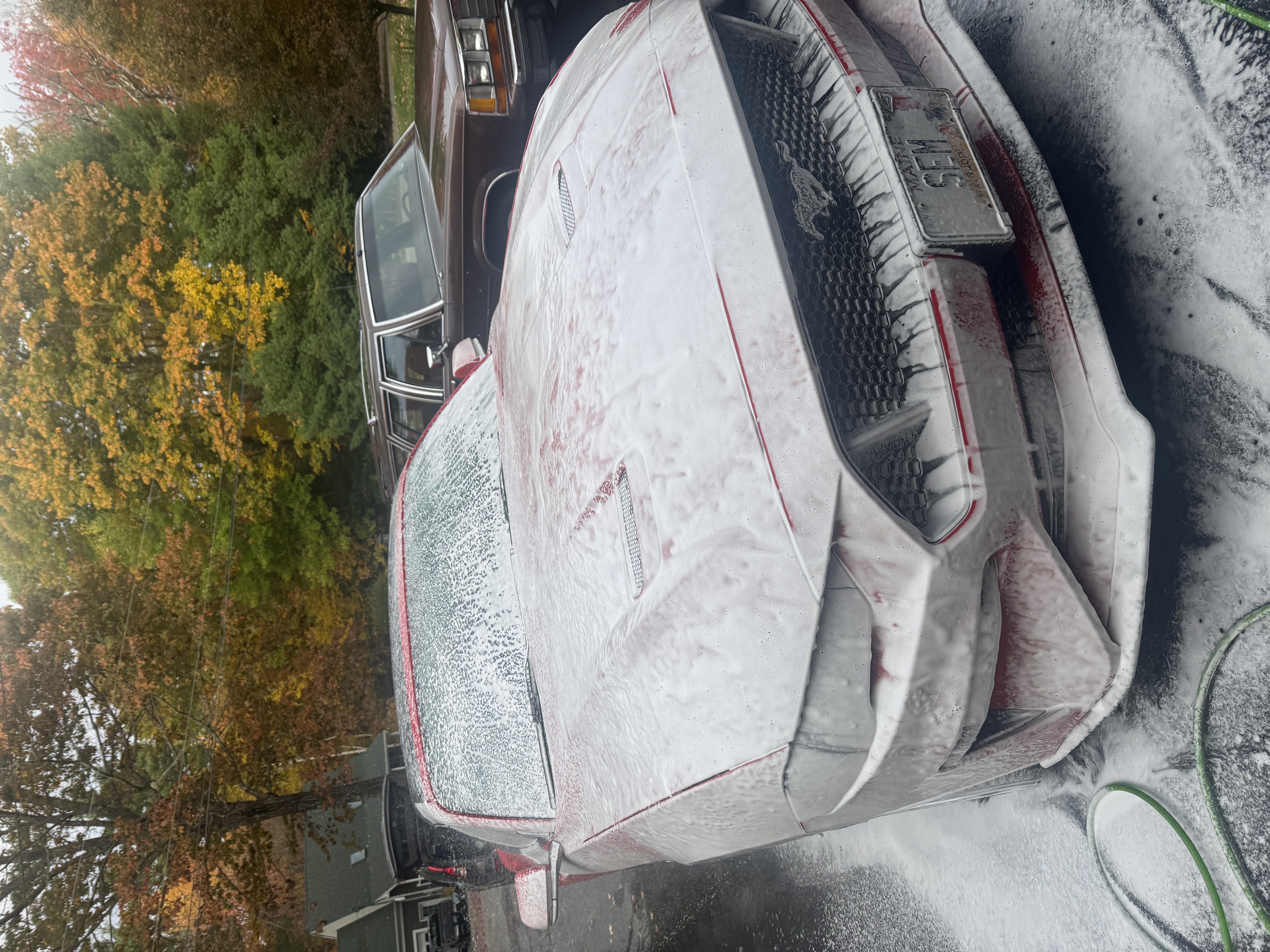 Mustang foam wash